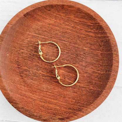 Premium Gold 20mm Leverback Stainless Steel Hoop (1.2mm Wide), 10 Pieces, Hoop #1