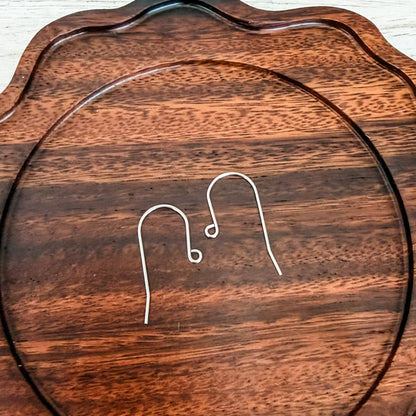 New Premium Minimalist Sheperds Stainless Steel Ear Wires (Choose Silver or Gold), 20 Pieces, Earring Hook #16
