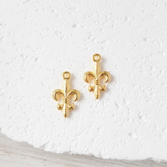 Gold Fleur De Lis Brass Charms, 10 Pieces